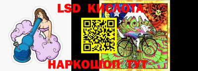 крисы Шахты