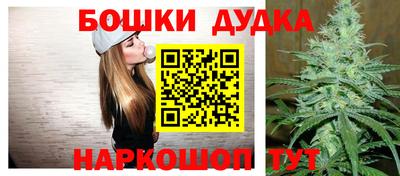 гидра Шелехов
