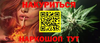 крисы Шахты