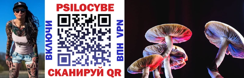 где найти наркотики  hydra как войти  Псилоцибиновые грибы MAGIC MUSHROOMS  Алейск 