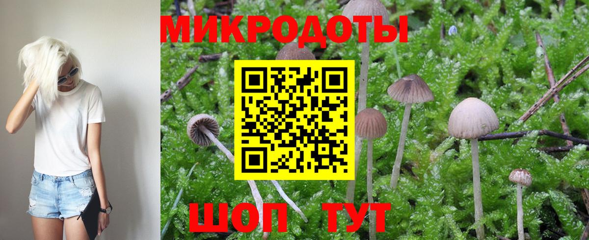 Псилоцибиновые грибы ЛСД Алейск